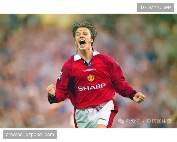 前意大利国脚、现维罗纳前锋佩莱格里尼宣布将于赛季末挂靴